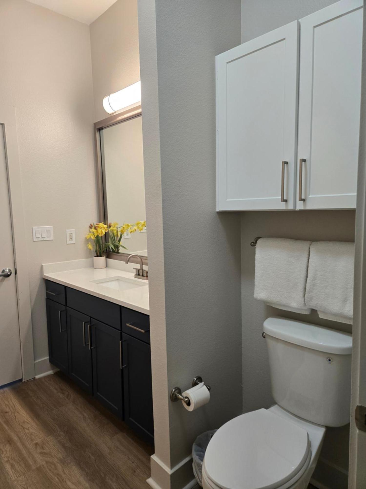 Downtown 2bd Free Parking Apartment